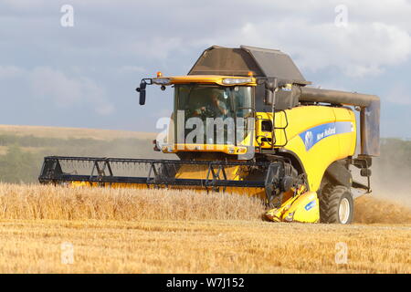 New Holland CX8040 Combine Harvester cutting a field in Swillington,Leeds. Stock Photo