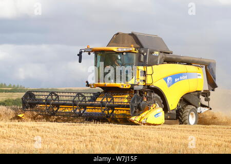 New Holland CX8040 Combine Harvester cutting a field in Swillington,Leeds. Stock Photo