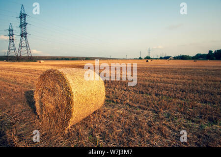 Hay bale in a roll on a mowed field. A lot of hay away. Many large high power lines against the sky. Stock Photo