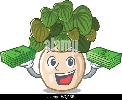 With money bag peperomia spreads on the cartoon stems Stock Vector
