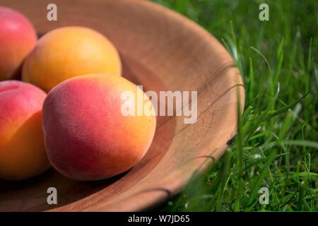 Juicy peaches in a wood bowl, sitting in green grass on a sunny summer day. Stock Photo