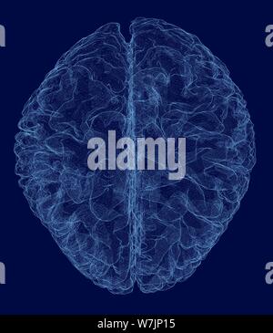 Vector illustration of a human brain wireframe made of blue lines on a dark background Stock Vector