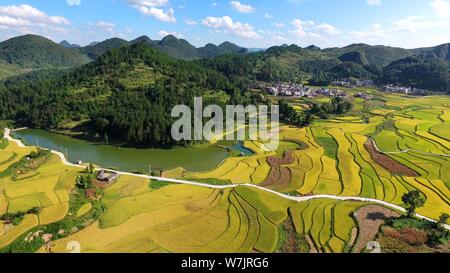 Aerial view of the terraced rice fields in Yunwu town, Guiding county, Qiannan Buyi and Miao Autonomous Prefecture, southwest China's Guizhou province Stock Photo