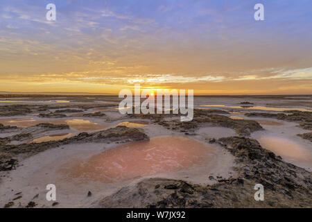 Dried Salt Marsh Colors in San Francisco South Bay Stock Photo