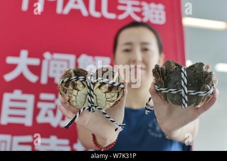 A Chinese customer shows hairy crabs bought from a vending machine at the headquarters of Yiguo Fresh Food, an Alibaba-backed e-commerce platform that Stock Photo