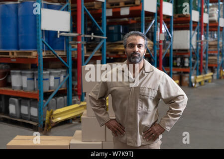 Male staff standing with hands on hip in warehouse Stock Photo