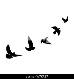 Flying birds background. Pencil drawing vector illustration Stock Vector  Image & Art - Alamy