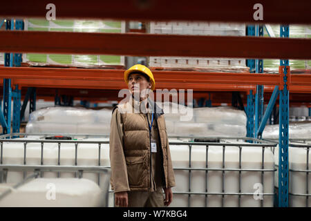 Female worker working in warehouse Stock Photo