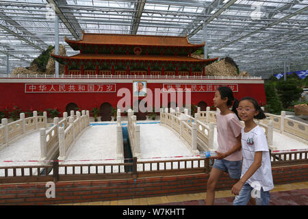 Local residents walk past an artwork featuring the shape of Tian'anmen Rostrum made of crops on display for the upcoming 16th China Changchun Internat Stock Photo