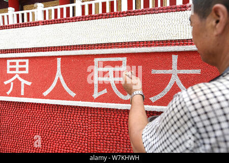 A local resident looks at an artwork featuring the shape of Tian'anmen Rostrum made of crops on display for the upcoming 16th China Changchun Internat Stock Photo