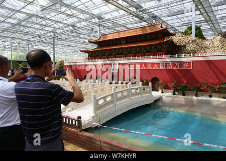 Local residents take photos of an artwork featuring the shape of Tian'anmen Rostrum made of crops on display for the upcoming 16th China Changchun Int Stock Photo