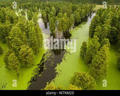 Aerial view of the Chishanhu Provincial Wetland Park in Chuzhou city, east China's Anhui province, 17 August 2017. Stock Photo