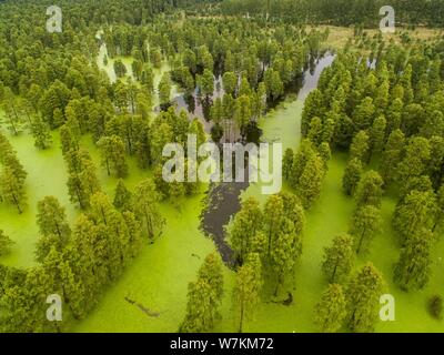 Aerial view of the Chishanhu Provincial Wetland Park in Chuzhou city, east China's Anhui province, 17 August 2017. Stock Photo