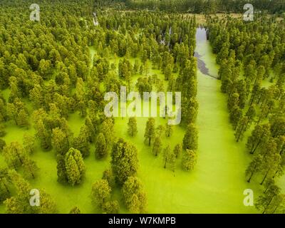 Aerial view of the Chishanhu Provincial Wetland Park in Chuzhou city, east China's Anhui province, 17 August 2017. Stock Photo