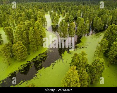 Aerial view of the Chishanhu Provincial Wetland Park in Chuzhou city, east China's Anhui province, 17 August 2017. Stock Photo