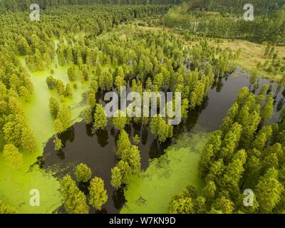 Aerial view of the Chishanhu Provincial Wetland Park in Chuzhou city, east China's Anhui province, 17 August 2017. Stock Photo