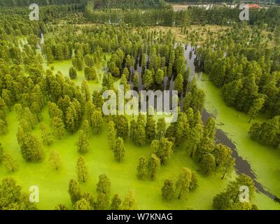 Aerial view of the Chishanhu Provincial Wetland Park in Chuzhou city, east China's Anhui province, 17 August 2017. Stock Photo