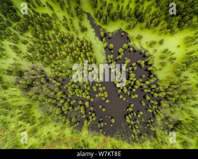 Aerial view of the Chishanhu Provincial Wetland Park in Chuzhou city, east China's Anhui province, 17 August 2017. Stock Photo