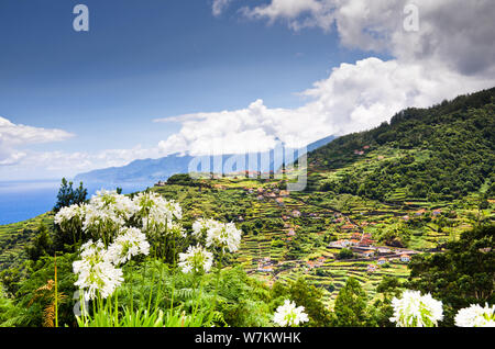 Open view across the unique mountain landscapes in terraces in Madeira, Portugal, Europe Stock Photo