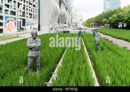 View of a paddy rice field turning green on a square at Himalayas Center in Pudong New Area, Shanghai, China, 31 August 2017.   A paddy field was tran Stock Photo