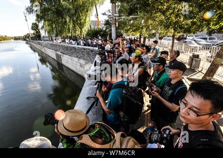 Photography enthusiasts take pictures of the Turret at the Palace Museum, also known as the Forbidden City, on a clear day in Beijing, China, 6 August Stock Photo