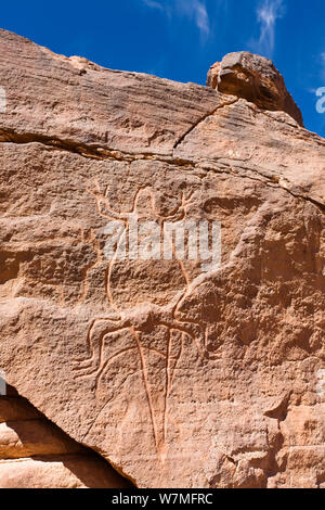 Stone engravings of a lizard in Wadi Mathendous, Wadi Barjuj, Stony Desert, Libya, Sahara, North Africa , November 2007 Stock Photo