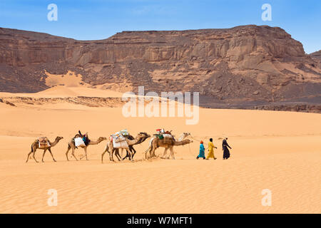 Dromedary camel (Camelus dromedarius) Caravan in the Libyan desert, Akakus mountains, Libya, Sahara, North Africa, November 2007 Stock Photo