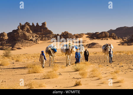 Dromedary camel (Camelus dromedarius) caravan in the Libyan desert, Akakus mountains, Libya, Sahara, North Africa, November 2007 Stock Photo