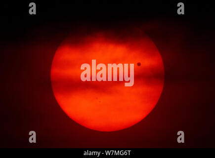 The transit of Venus across the face of the sun, with visible sunspots, as seen from Aurora, Colorado, USA, 19.49 local time, 5 June 2012. Stock Photo