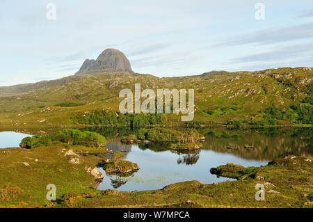 A view of Suilven over a highland loch with islands of scots pine and birch. Sutherland, Scotland, June 2011. Stock Photo