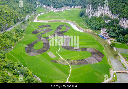 Aerial View Of A Giant Chinese Character Long Meaning Dragon In English In A Paddy Rice Field At Longgong Scenic Spot In Anshun City Southwest Stock Photo Alamy