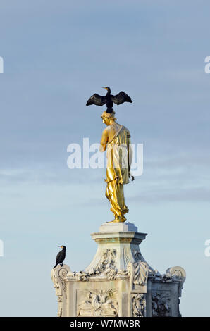Two Common comorants (Phalocrocorax carbo) perched on statue drying out, Bushy Park, London, England, UK, November.