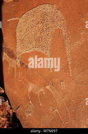 Panels of rock carving depicting African wildlife, World Heritage site, Twyfelfontein, Damaraland, Namibia Stock Photo