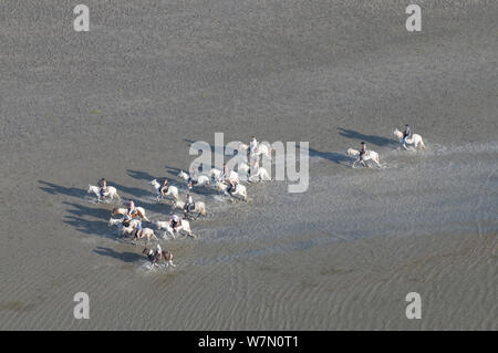 Aerial view of tourists pony trekking, crossing a lagoon, Camargue, Southern France, August 2008 Stock Photo