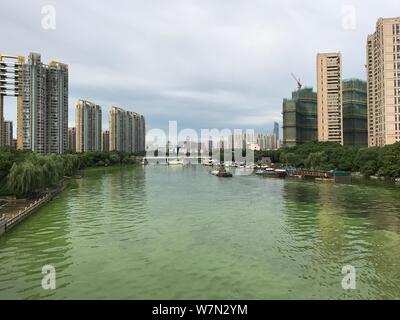View of the Liangxi River covered with blue-green algae in Wuxi city, east China's Jiangsu province, 3 July 2017.   Dead fishes have been found in the Stock Photo