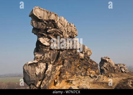 'Devil's Wall' rock formation. Teufelsmauer Nature Reserve near Weddersleben, Saxony-Anhalt, Germany, March 2012. Stock Photo