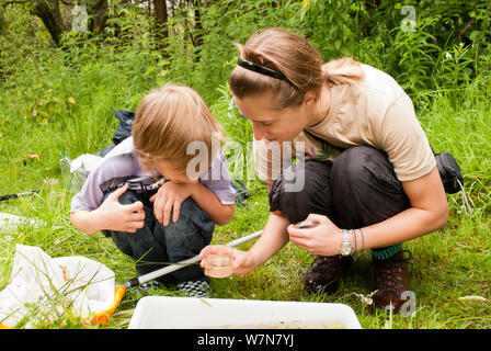 Woman and boy looking in jar whilst pond dipping on a Froglife reptile and amphibian walk, Palacerigg Country Park, Cumbernauld, North Lanarkshire, Scotland, UK, July 2011. 2020VISION Book Plate. Stock Photo