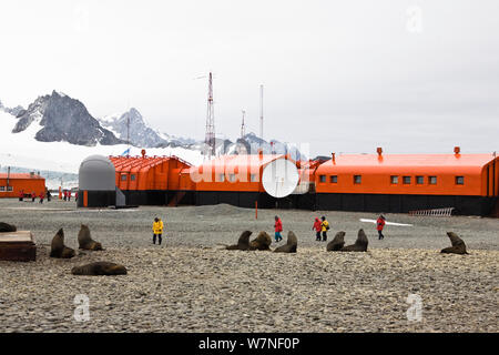 Orcadas Base, Argentine scientific reserarch station, with researchers looking at Fur seals, Laurie Island, South Orkney Islands, Southern Ocean, Antarctica. February 2007. Stock Photo