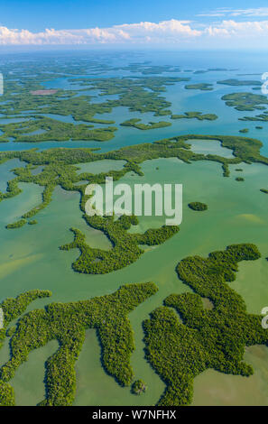 Aerial view over subtropical mangrove wetlands of the Everglades ...