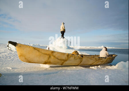 Inupiaq subsistence whalers with an umiak - a bearded seal skin boat - wait at the edge of an open lead in the pack ice and look for whales. Chukchi Sea, offshore from Barrow, Arctic coast of Alaska, April 2012. Stock Photo