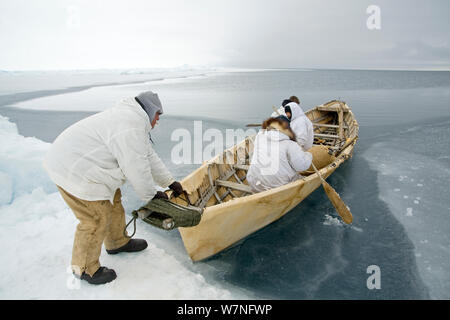 Inupiaq subsistence whalers get into their umiak - or bearded seal skin boat - in order to break thin ice forming in the open lead, allowing for passing bowhead whales during spring whaling season. Chukchi Sea, offshore from Barrow, Arctic coast of Alaska, April 2012. Stock Photo