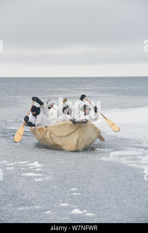 Inupiaq subsistence whalers paddle their umiak - or bearded seal skin boat - and break thin ice forming in the open lead, allowing for passing bowhead whales during spring whaling season. Chukchi Sea, offshore from Barrow, Arctic coast of Alaska, April 2012. Stock Photo