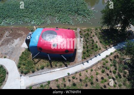 aerial view of ladybird Stock Photo: 6920331 - Alamy