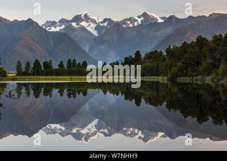 Late evening light on the Souttern Alps being perfectly relected in the calm waters of Lake Matheson. New Zealand's highest mountain, Mount Cook or Aoraki (3754m) is on the right, and Mount Tasman (3498m) to the left. Lake Matheson is a glacier lake which was formed ca. 14,000 years ago. The lake is surrounded by native kahikatea (white pine) and rimu (red pine) trees, as well as flax and a variety of New Zealand fern species. Fox Glacier, Westland National Park, West Coast, South Island, New Zealand. January, 2008. Stock Photo