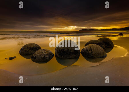 Moeraki Boulders / Kaihinaki on Koekohe Beach at sunrise, crepuscular rays on the horizon. 60 Million year old mudstone concretions. Moeraki, Waitaki District, Otago Region, South Island, New Zealand. January, 2012. Stock Photo