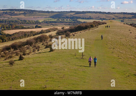 Ivinghoe Hills Buckinghamshire UK October Stock Photo - Alamy