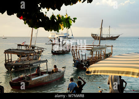 Traditional boats in coastal waters off Zanzibar Town / Stone Town, Zanzibar, Tanzania, October 2008 Stock Photo