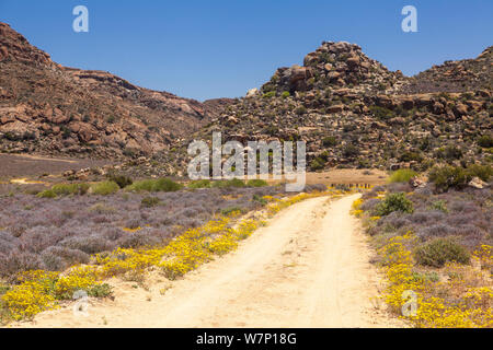 Tourist route through Goegap Nature Reserve. Springbok, Namaqualand, South Africa, October 2012. Stock Photo