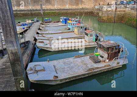 Oyster farming boats in the harbour at Le Chateau d'Oleron on the island Ile d'Oleron, Charente-Maritime, France, September 2012 Stock Photo