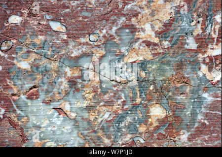 Close up of Red marble in rock face of stone quarry in the Belgian Ardennes, Belgium, August 2012 Stock Photo